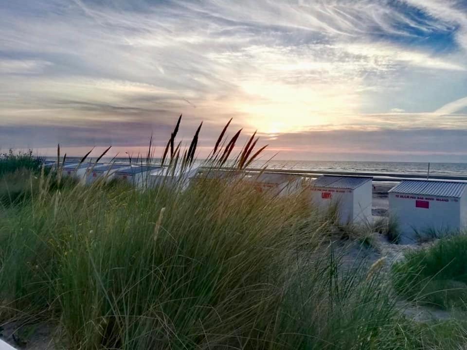 Seayousoon Nieuwpoort-Bad Exteriér fotografie